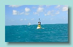 322_Strong Wind and Current